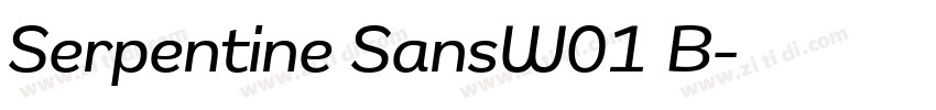 Serpentine SansW01 B字体转换